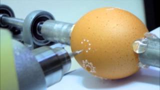 DIY Auto Egg Engraving [upl. by Redienhcs]