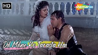 Dil Milne Ko Tarasta Hai  Govinda Ayesha Jhulka  Alka Yagnik Hit Love Songs  Ekka Raja Rani Song [upl. by Arundel803]