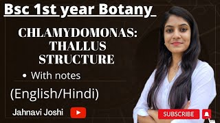 Chlamydomonas Thallus Structure notesBsc Bio 1st year Botany [upl. by Noswad]