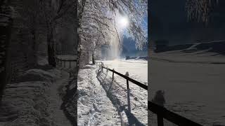 A Snowy Day in Lauterbrunnen [upl. by Isiad]