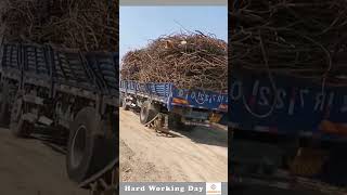 The Process Of Unloading Iron Rod From The Truck [upl. by Stucker]