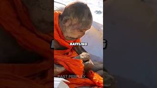 This Mysterious Mummy Of A Buddhist Monk Is Intriguing shorts [upl. by Relyuhcs929]