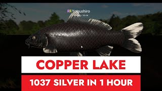 RUSSIAN FISHING 4  COPPER LAKE  1037 SILVER IN 1 HOUR [upl. by Ahsieker]