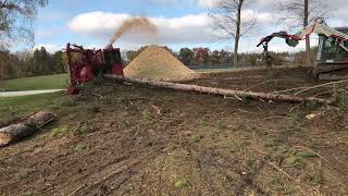 Chipping away our tree debris [upl. by Cowley]