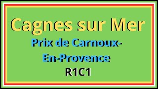 Pronostics PMU gratuits Quinté du jour Mardi 27 Février Cagnes sur Mer Prix de CarnouxEnProvence [upl. by Ecallaw]