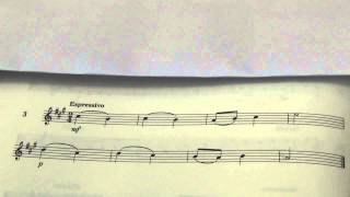 Violin Grade 2 Sight Reading No 3 Espressivo [upl. by Eentrok]