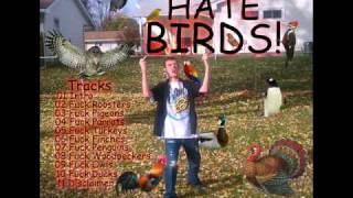 I Hate Birds  Track 01 Intro [upl. by Euphemia]