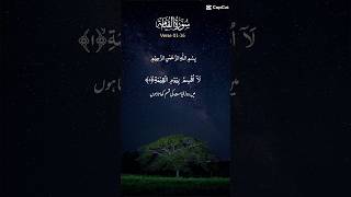 surah qiamah l surah qiamah status surahqiyamah islamicstatus [upl. by Doralynn769]