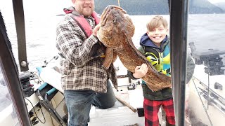 Winter Harbour and Quatsino Sound Fishing Ling Cod and Halibut [upl. by Boiney855]