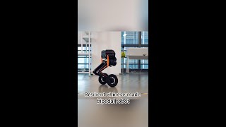 Resilient Chinesemade bipedal robot [upl. by Lionel]