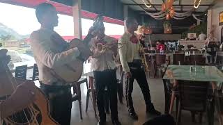 Mariachi Fusagasuga Aguilas de Toluca 321338001731938612423208729374 para toda ocasión [upl. by Allenrac]