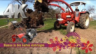 🌱 Boden vorbereiten im Garten 🌱 IHC Traktor und Hecht Gartenfräse für die Bodenarbeit im Biogarten [upl. by Prent]