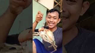 kepiting besar mainananak eskrim funny [upl. by Solon]