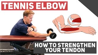 Tennis Elbow How to Strengthen Your Tendons [upl. by Ednutey]