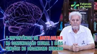 Acetilcolina A Função Fundamental do Neurotransmissor na Regulação das Funções Cognitivas [upl. by Quickel941]