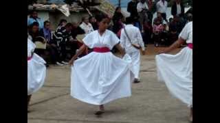 SONES Y JARABES DE BETAZA Grupo Folklórico quotIta Ñintaaquot Oaxaca [upl. by Nanreit]