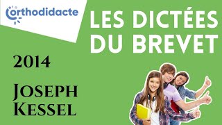 Dictée du brevet des collèges 2014 [upl. by Eluj]