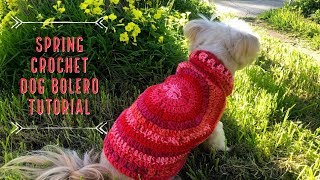 Spring Crochet Dog Bolero  Perro De Ganchillo Bolero Tutorial [upl. by Martica]