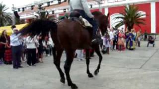 Exhibicion monta Doma Vaquera Arucas feria abril Las Palmas Gran Canaria [upl. by Barry]