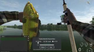 Fishing Planet Unique Peacock Bass [upl. by Eikcuhc]