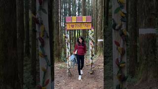 Dowhill eco park mini vlog💕 kurseong dowhill darjeeling minivlog ytshorts dayout [upl. by Codding]