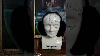 Impossible to overlook charityshopbuy charityshopbuy head phrenology acid party techno music [upl. by Merilyn]