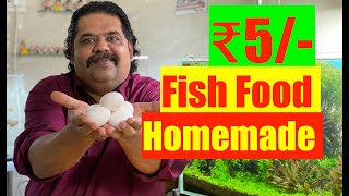 5 ₹ Fish Food for all Aquarium Fish  HOW to make and Feed Steamed Egg in Fish Tank  Homemade DIY [upl. by Hurwitz]