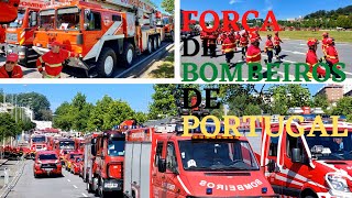 Força De Bombeiros De Portugal  Desfile Apeado E Motorizado [upl. by Bazar566]