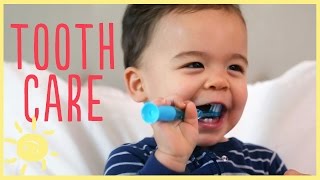 TIPS  TODDLER TOOTH CARE w pediatric dentist [upl. by Mcadams35]