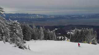 Lupului Ski Slope difficult level Poiana Brasov Romania February 2020 [upl. by Adiel]