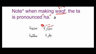 Arabic Grammar Lesson 6 AlTaneeth The Feminine [upl. by Clo336]