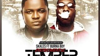 SKALES FT BURNA BOY  TEMPER INSTRUMENTALS  PROD BY BERRYKID [upl. by Pros]