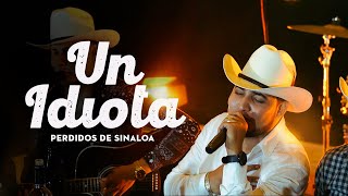 Perdidos de Sinaloa  Un Idiota En Vivo [upl. by Naid]