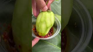 How to eat Green Mangoes 🤣 fruit food greenmangoes satisfying [upl. by Laural228]