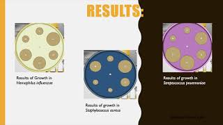 Antimicrobial resistance and the Zone of Inhibition [upl. by Cordalia336]