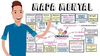 MAPA MENTAL  Cnidários [upl. by Ellevehs]