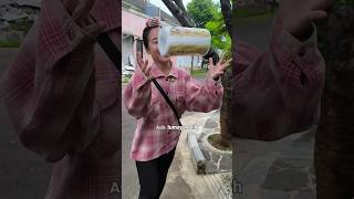 Bocil Tau Siapa Pelakunya  😱🐈 cicinyasar bocil kucing [upl. by Solon290]