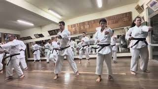 Pinan Shodan  ShorinRyu Kyudokan Hombu Dojo Okinawa [upl. by Euphemie23]