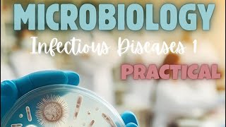 Practical Microbiology ID1  Part 1 [upl. by Aztilay]