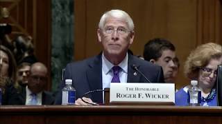 Wicker Testifies on Success of Telehealth [upl. by Lynad]