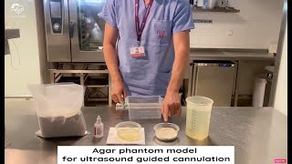 Agar phantom model for ultrasound guided cannulation [upl. by Adelle]