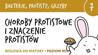 Choroby protistowe i znaczenie protistów  Bakterie protisty grzyby 7  liceum biologia matura [upl. by Jasper]