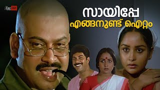 സായിപ്പിന്ന് എന്നെ ഇഷ്ടപെട്ടുവെന്നു തോനുന്നു [upl. by Rangel]