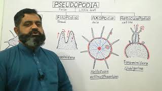 Types of Pseudopodia English medium profmasoodfuzail Pseudopodia  Anatomy of Pseudopodia [upl. by Akcimehs]