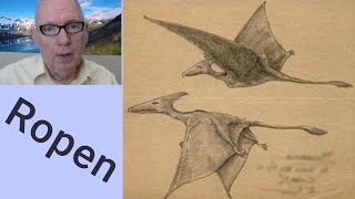 Pterodactyl Sightings in Australia [upl. by Anstice359]