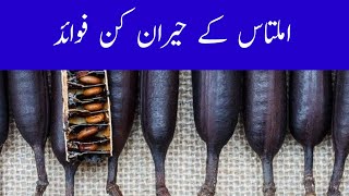 Amaltas Ke Fayde In Urdu  Amaltas Ke Phool Ke Fayde  Amaltas Tree Benefits In Urdu  Amaltas Fayde [upl. by Aisinoid]