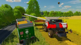 FS22 TRITICALE CROP HARVESTING NEW FARM ostseekuste 22 [upl. by Van]