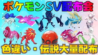 ポケモンSV 激レア色違い・伝説配布会 ポケモン 配布 色違い shorts [upl. by Teahan]