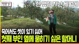 다큐 ‘가족’ 196회下 한 맺힌 지난 세월에 죽어서도 셋이 있기 싫어 첫째 부인 옆에 묻히기 싫은 할머니 [upl. by Brandea]