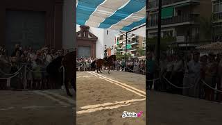 A Caballo Celebration Fuengirola September 212024 [upl. by Donelle]